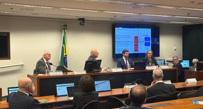 IBRAM evidencia para deputados federais potencial do Brasil em produzir MCEs e fomentar desenvolvimento