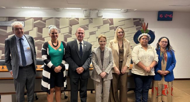 Senado debate regulamentação de mineração em terras indígenas