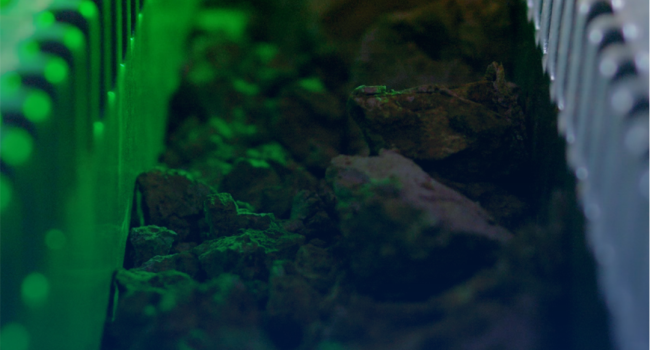 Viridis Mining & Minerals é a nova associada do IBRAM