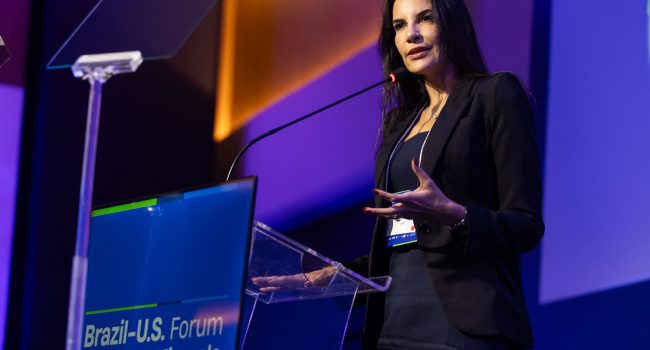 Brasil tem potencial para liderar produção sustentável de minerais críticos, diz Ana Sanches