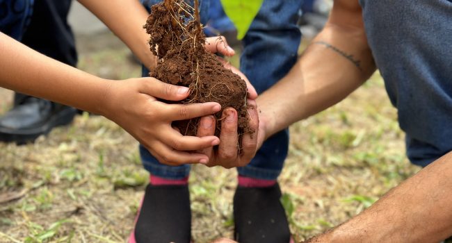 RHI Magnesita reforça estratégia ambiental com ações de educação e reflorestamento
