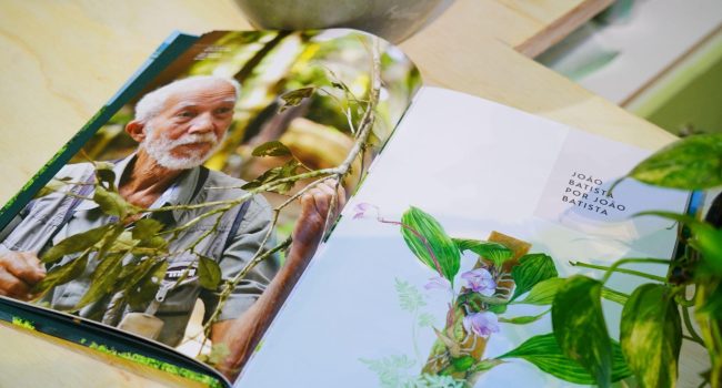 Naturalista lança em Brasília livro com 100 descobertas científicas sobre a flora amazônica