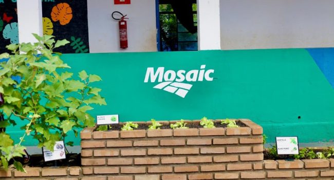 Mosaic inaugura nova horta sensorial acessível na rede municipal de Uberaba (MG)