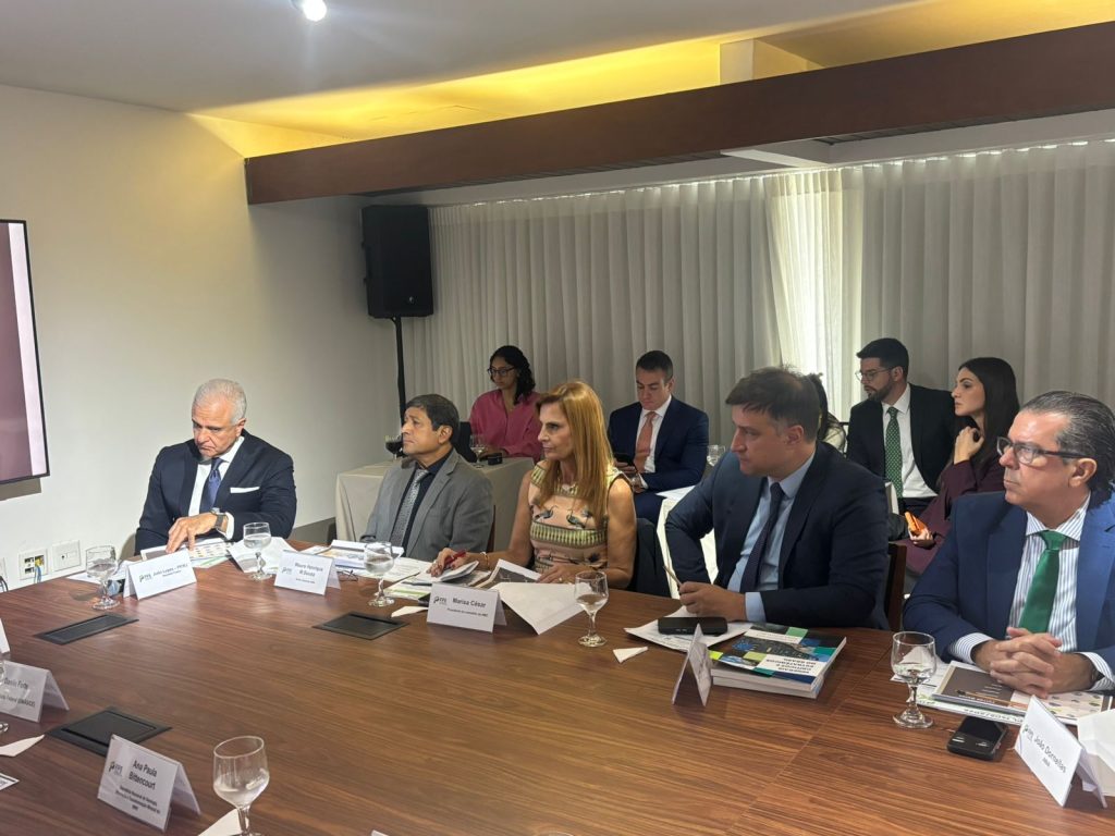 FPE debate relatório do PL 2780/2024 e reforça apoio à Política Nacional de Minerais Críticos e Estratégicos