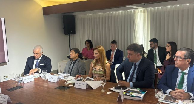 FPE debate relatório do PL 2780/2024 e reforça apoio à Política Nacional de Minerais Críticos e Estratégicos