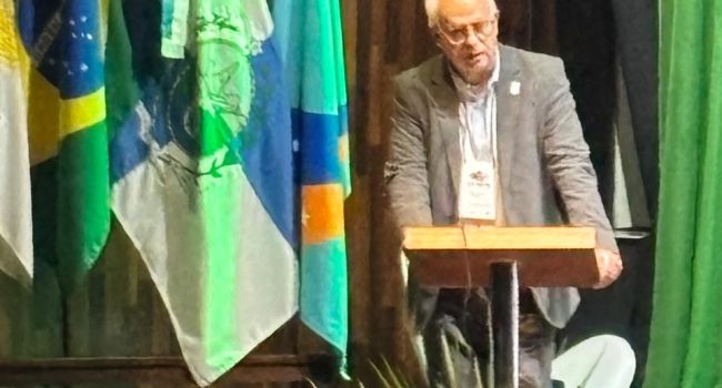 IBRAM participa de seminário nacional sobre terras-raras e reforça debate sobre a cadeia produtiva brasileira